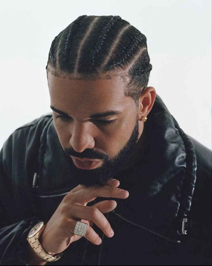 Drake reference photo